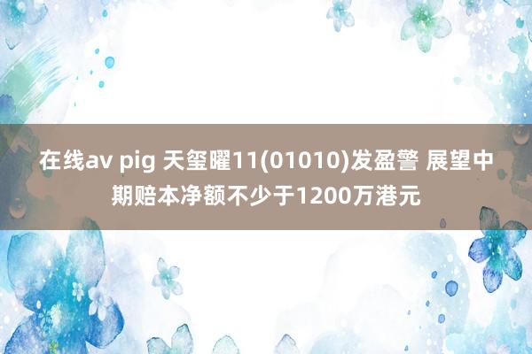 在线av pig 天玺曜11(01010)发盈警 展望中期赔本净额不少于1200万港元