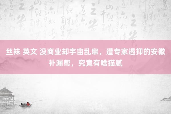 丝袜 英文 没商业却宇宙乱窜，遭专家遏抑的安徽补漏帮，究竟有啥猫腻