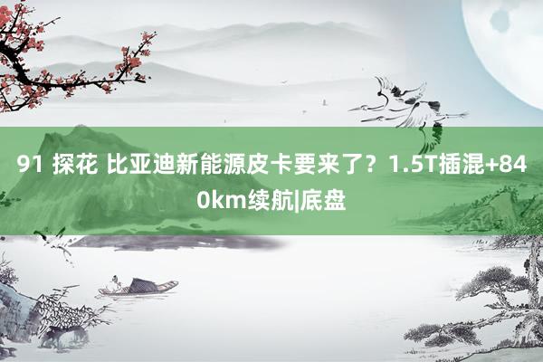 91 探花 比亚迪新能源皮卡要来了？1.5T插混+840km续航|底盘