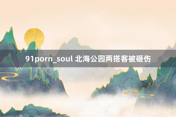 91porn_soul 北海公园两搭客被砸伤