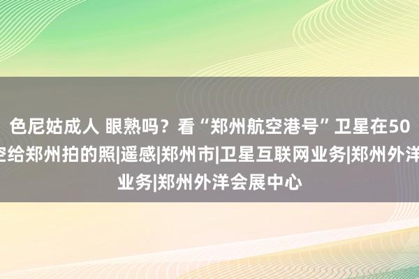 色尼姑成人 眼熟吗？看“郑州航空港号”卫星在500公里高空给郑州拍的照|遥感|郑州市|卫星互联网业务|郑州外洋会展中心