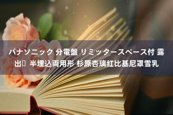 パナソニック 分電盤 リミッタースペース付 露出・半埋込両用形 杉原杏璃红比基尼罩雪乳