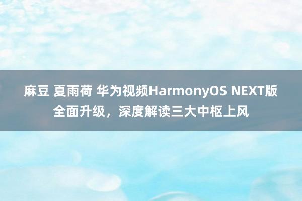 麻豆 夏雨荷 华为视频HarmonyOS NEXT版全面升级，深度解读三大中枢上风