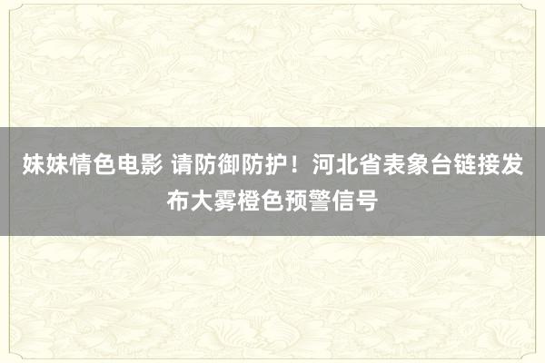 妹妹情色电影 请防御防护！河北省表象台链接发布大雾橙色预警信号