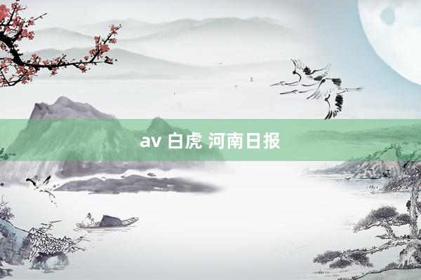 av 白虎 河南日报