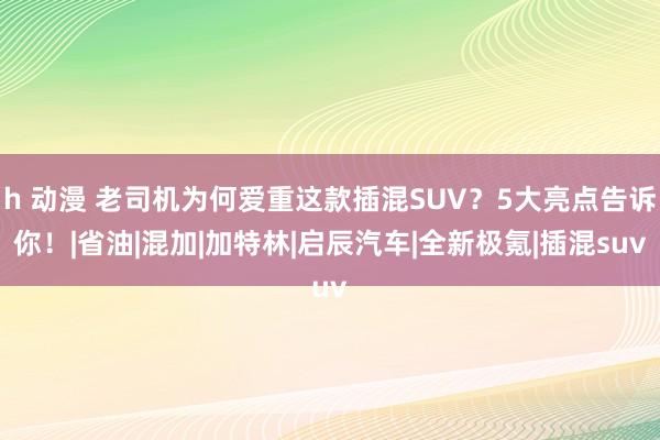 h 动漫 老司机为何爱重这款插混SUV？5大亮点告诉你！|省油|混加|加特林|启辰汽车|全新极氪|插混suv