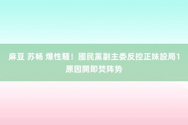 麻豆 苏畅 爆性騷！國民黨副主委反控正妹設局　1原因開即焚阵势