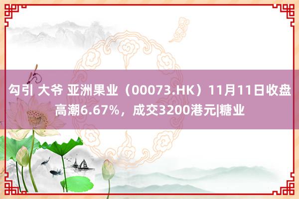 勾引 大爷 亚洲果业（00073.HK）11月11日收盘高潮6.67%，成交3200港元|糖业