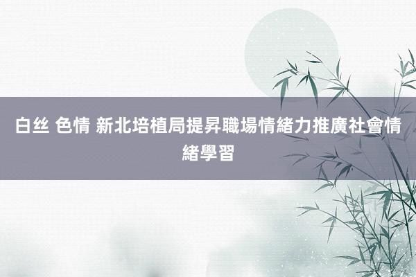 白丝 色情 新北培植局提昇職場情緒力　推廣社會情緒學習