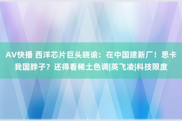 AV快播 西洋芯片巨头晓谕：在中国建新厂！思卡我国脖子？还得看稀土色调|英飞凌|科技限度